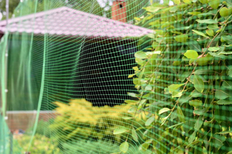 Mallas verdes y paneles