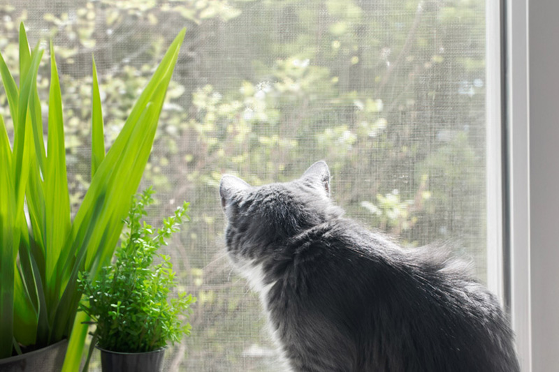 Mosquiteras para ventanas y exteriores