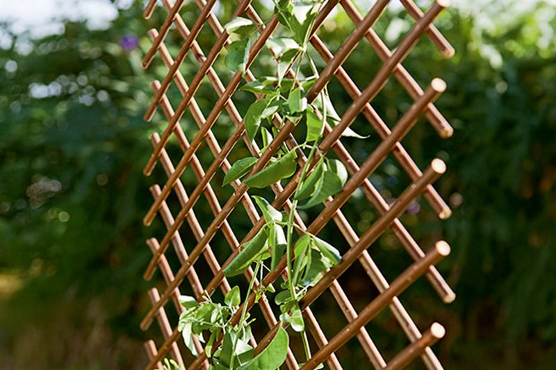 Opciones de ocultación artificial